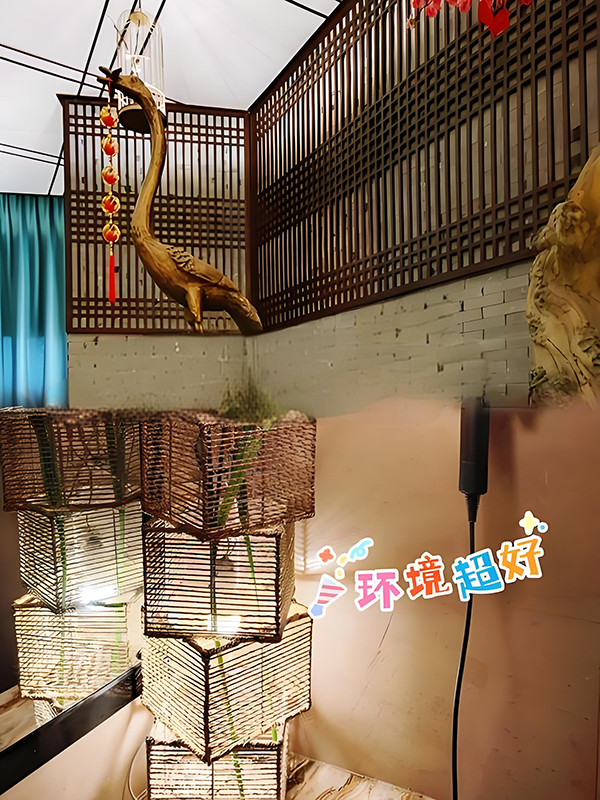 苏州非正规足浴店排名榜最新,最新榜单曝光-图1